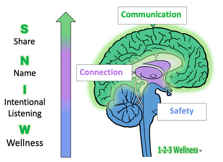 W.I.N.S. Communication diagram showing Wellness, Intentional Listening, Name, and Share across brain regions